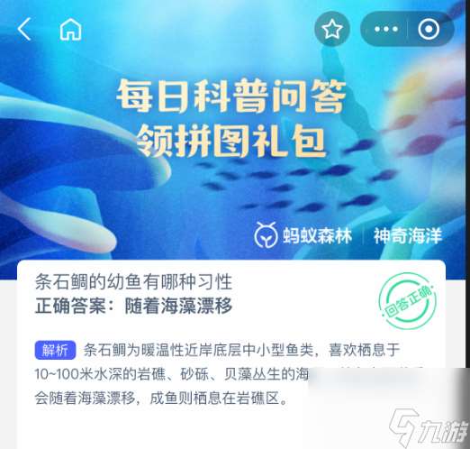 條石鯛的幼魚有哪種習性