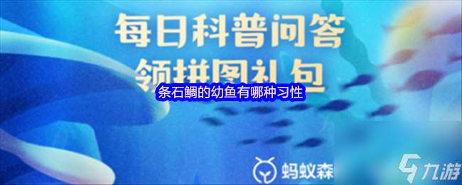 條石鯛的幼魚有哪種習性