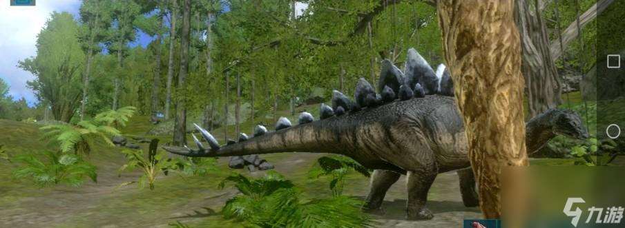 方舟(剑龙的食物)