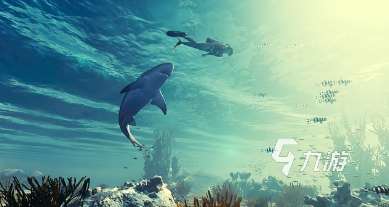很老的一款鯊魚吃人游戲是什么 2025有趣的魚類游戲合集