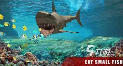 很老的一款鯊魚吃人游戲是什么 2025有趣的魚類游戲合集