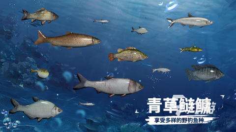 釣魚游戲排行榜前十名有哪些2025 刺激的釣魚游戲推薦