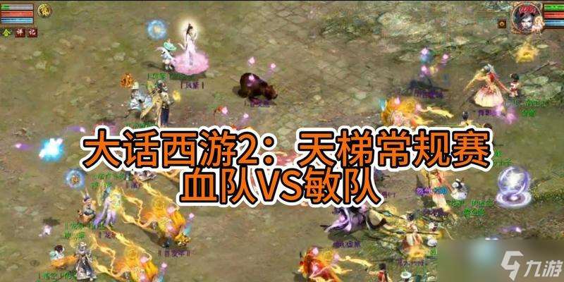 雙控血隊(duì)在大話西游中的玩法是什么?玩法中可能遇到的難題有哪些?