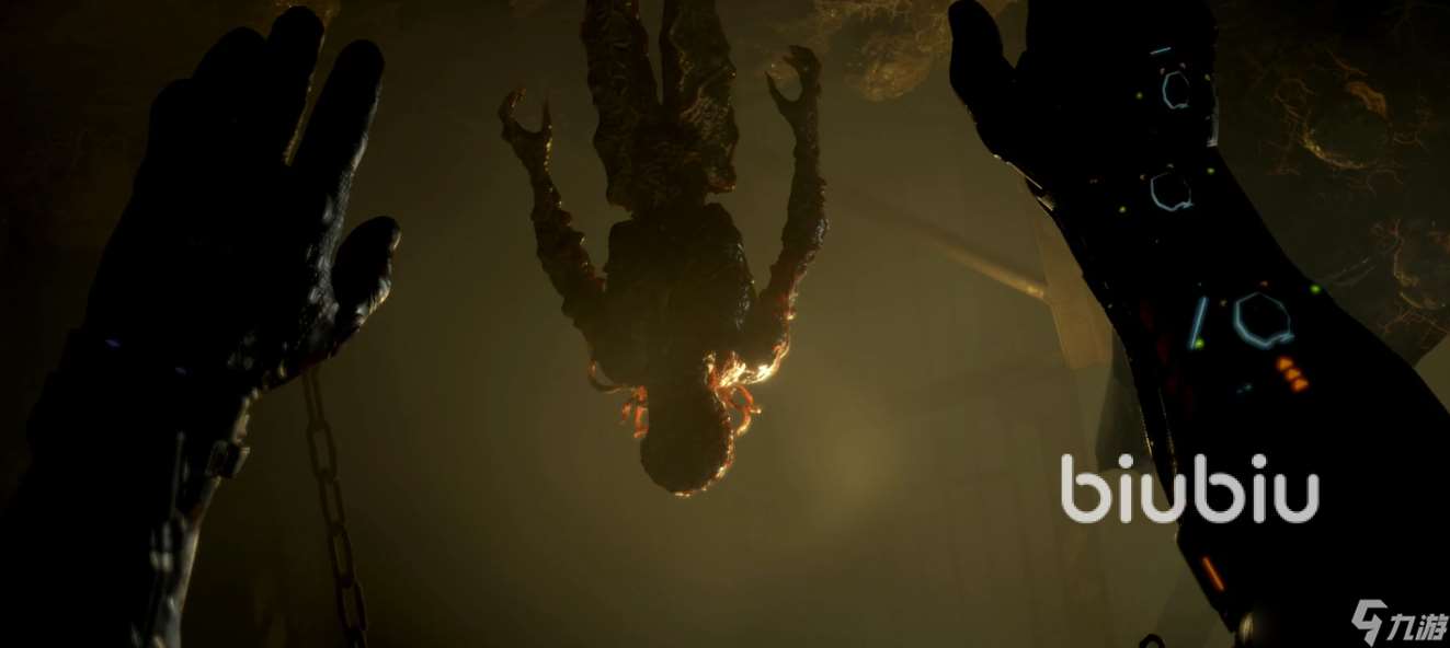 木卫四协议黑屏怎么解决 木卫四协议加速软件链接分享