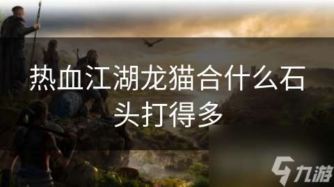 热血江湖龙猫合什么石头打得多
