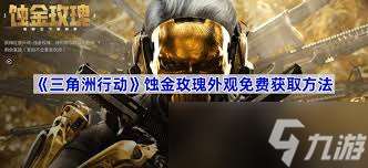 三角洲紅狼蝕金玫瑰保底價格是多少