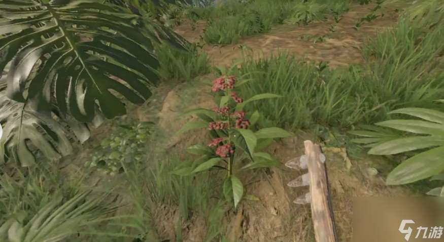 綠色地獄食物中毒怎么解救