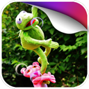 青蛙粉豹动态壁纸 v1.0 Android版
