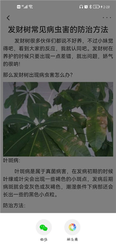 花医生app使用教程4