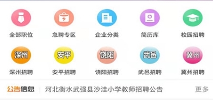 衡水招聘网软件宣传图2