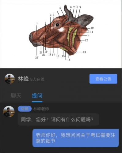 兽课网