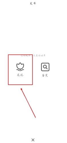 花伴侣app怎么发花记图片2