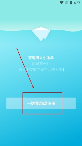 小冰岛app2