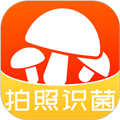 菌窝子app