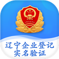 辽宁企业登记实名验证app最新版