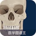 医学图谱王app