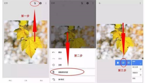 绿叶修图软件免费版图片3