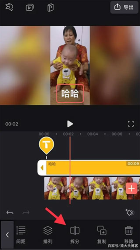 VideoLeap专业版5