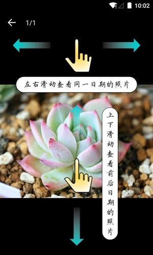 多肉成长记app