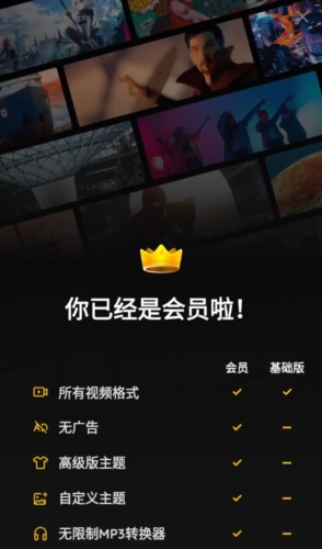 XPlayer专业版宣传图