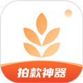 大麦相机app