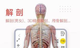 3Dbody艺用免费版