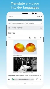 KiwiBrowser软件优势