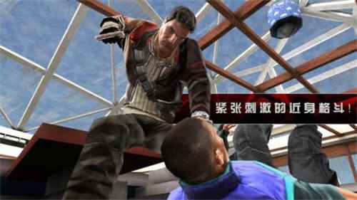 職業殺手2