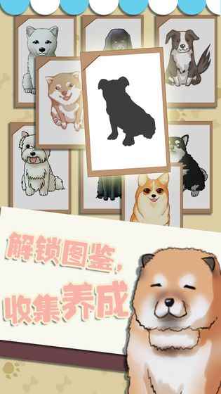 狗狗派對