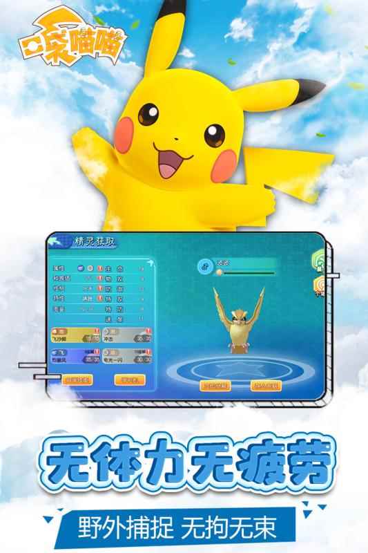 口袋喵喵