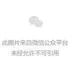 極速提升連爆流與閃爆流