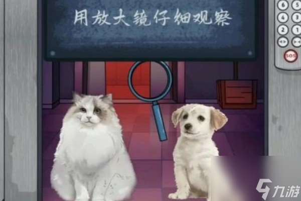 动动大脑瓜相对安全怎么过