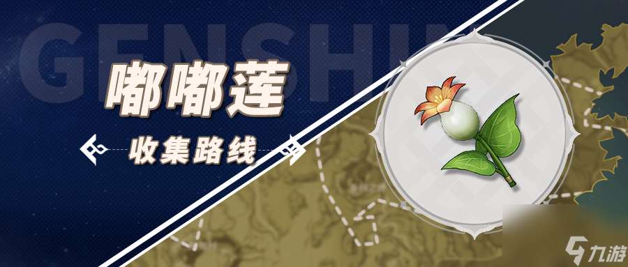 原神嘟嘟莲在哪采集