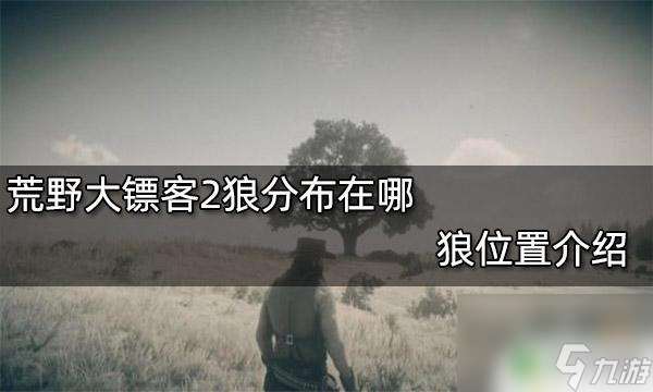 荒野大镖客狼群怎么打 狼在荒野大镖客2中的在哪里攻略