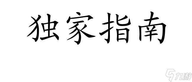 鄉村王子0 2怎么攻略姐姐 - 玩家攻略指南