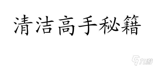 厕所清扫中怎么玩攻略 - 提高清洁效率的秘籍