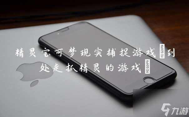 精灵宝可梦现实捕捉游戏 到处走抓精灵的游戏