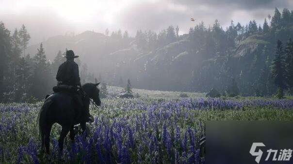 荒野大镖客2藏宝图在哪里 藏宝图在哪里介绍