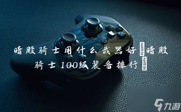 暗殿骑士用什么武器好 暗殿骑士100级装备排行