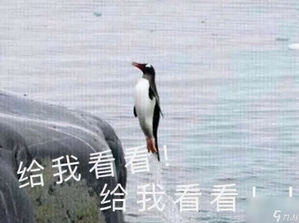 美人图任务在哪儿接 剑三美人图任务介绍  已推荐