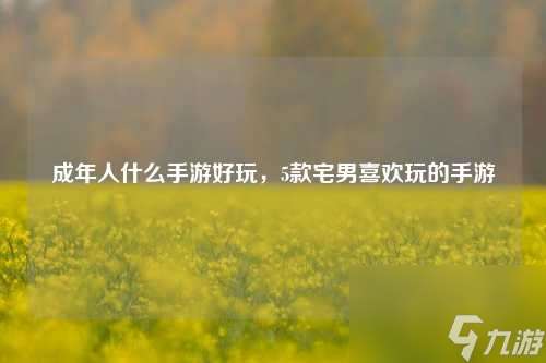 成年人什么手游好玩，5款宅男喜欢玩的手游