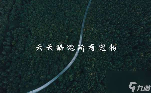 天天酷跑所有寵物
