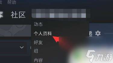 steam信息公开 怎么公开全部steam资料