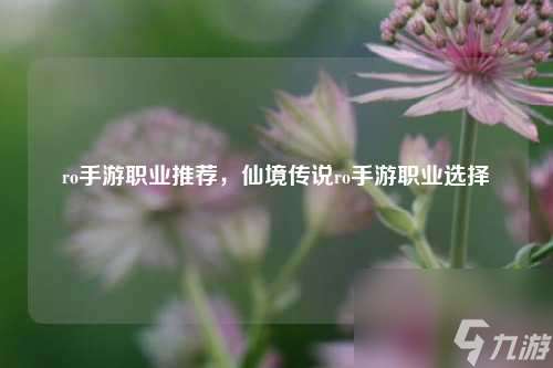 ro手游职业推荐，仙境传说ro手游职业选择