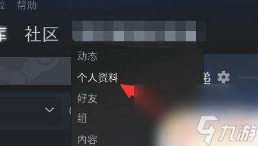 steam公开资料 steam资料怎么完全公开