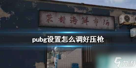 单机攻略《pubg》压枪设置推荐