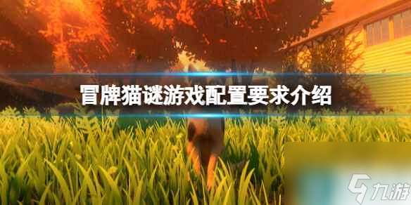 《冒牌猫谜》游戏配置要求介绍