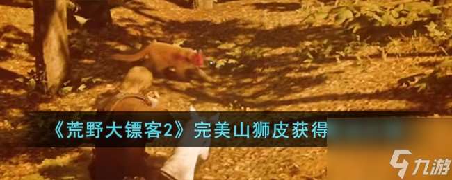 荒野大鏢客2完美山獅皮怎么獲取-完美山獅皮獲取方法介紹