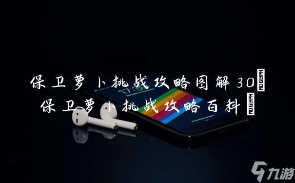 保衛(wèi)蘿卜挑戰(zhàn)攻略圖解30 保衛(wèi)蘿卜挑戰(zhàn)攻略百科
