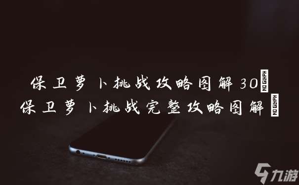 保衛(wèi)蘿卜挑戰(zhàn)攻略圖解30 保衛(wèi)蘿卜挑戰(zhàn)完整攻略圖解
